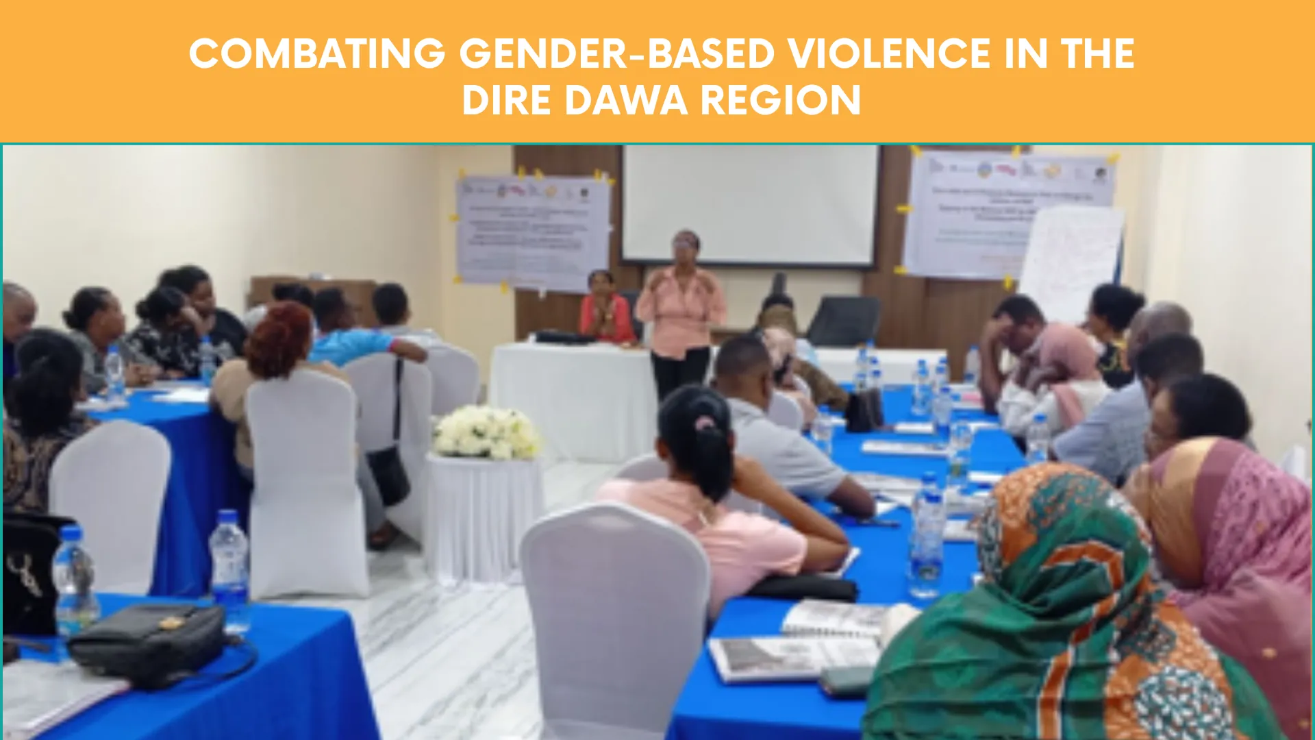 Combating Gender-Based Violence in the Dire Dawa Region