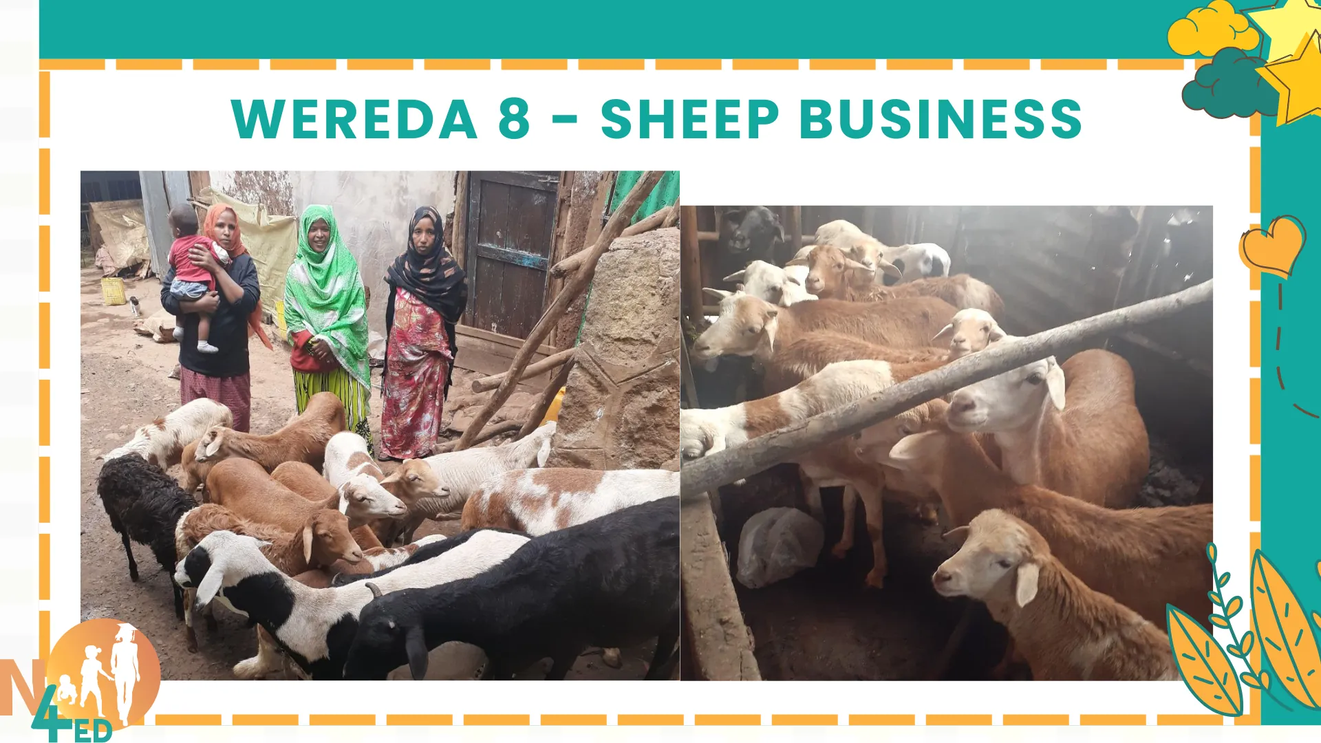 Sheep Farming Microenterprise – Empowering Mothers Through Livestock