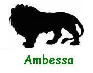 Ambessa